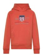 Archive Shield Hoodie GANT Orange