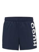 Abas HUGO Navy