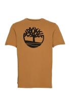 Tree Logo Short Sleeve Tee Timberland Brown
