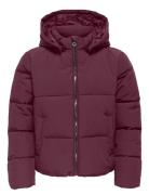 Kogdolly Life Sht Puffer Jacket Otw Noos Kids Only Purple