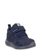 Biom 2.2 Infant ECCO Navy
