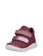 Sp.1 Lite Infant ECCO Burgundy