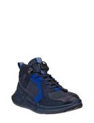 Biom 2.2 K ECCO Blue