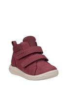 Sp.1 Lite Infant ECCO Burgundy