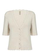 Sc-Dollie Soyaconcept Cream