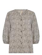 Sc-Saima Soyaconcept Brown