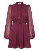 Organza Mini Dress By Ti Mo Burgundy
