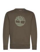 Tree Logo Crew Neck Sweatshirt Timberland Green