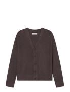 Wwtrue WOOD WOOD Blue