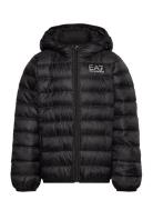 Down Jacket EA7 Black