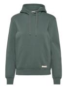 Centre Hoodie Björn Borg Green