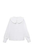 Double Baby-Collar Shirt Mango White