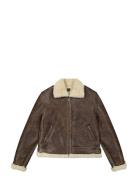 Aviator Jacket Lee Jeans Brown
