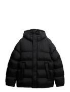 Hooded Tech Padded Jkt Superdry Black