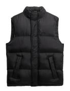 Tech Padded Gilet Superdry Black