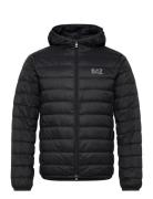 Down Jacket EA7 Black