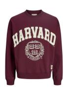 Jorharvard Sweat C.n Styd Ss25 Jack & J S Burgundy
