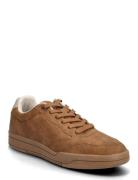 Uspa Steve 6 Shoe U.S. Polo Assn. Brown
