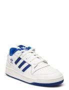 Forum Low Cl C Adidas Originals White