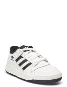 Forum Low Cl C Adidas Originals White