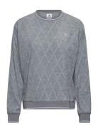 Terry Touch Sweatshirt Daily Sports Grey
