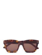 Modena Tortoise Brown Corlin Eyewear Brown