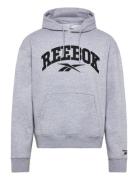 Varsity High Density Hoodie Reebok Classics Grey