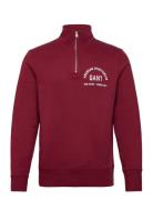 Printed Graphic Half Zip GANT Burgundy