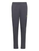 Individualliga Training Pants Jr PUMA Grey