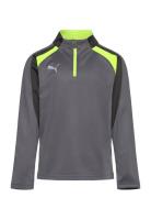 Individualliga 1/4 Zip Top Jr PUMA Grey
