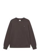 Wwtye WOOD WOOD Brown