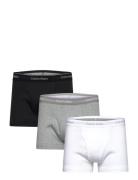 Trunk 3Pk Calvin Klein White