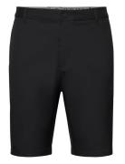 Dealer Short 10" PUMA Golf Black