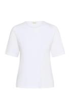 Nemipw Ts Part Two White