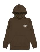 Foundation Po Billabong Brown