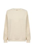 Sc-Banu Soyaconcept Cream