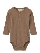 Body L/S Benny Wheat Brown