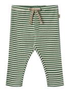 Jersey Pants Manfred Wheat Green