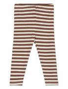 Tnsbfro Rib Leggings The New Brown