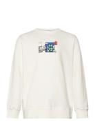 Tnphillip Sweatshirt The New White