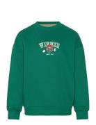 Tnpaul Os Sweatshirt The New Green