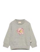 Ppdov Sweat Shirt Petit Piao Grey