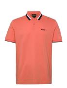 Paddy Ap Heritage BOSS 