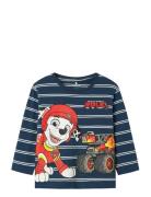 Nmmsofus Paw Ls Nreg Top Box Cplg Name It Navy