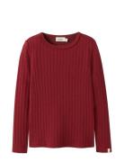 Nmfrita Sig Ls Slim Top Lil Lil'Atelier Burgundy