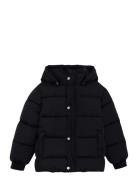 Quilted Jacket Solid Minymo Black
