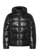 Ls Glossy Channeled Puffer Jkt Calvin Klein Black