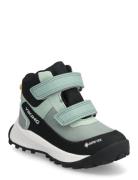 Expower Mid Gtx 2V Viking Green