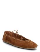 Pointe Steve Madden Brown