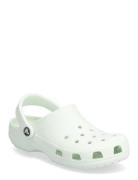 Classic Crocs Green